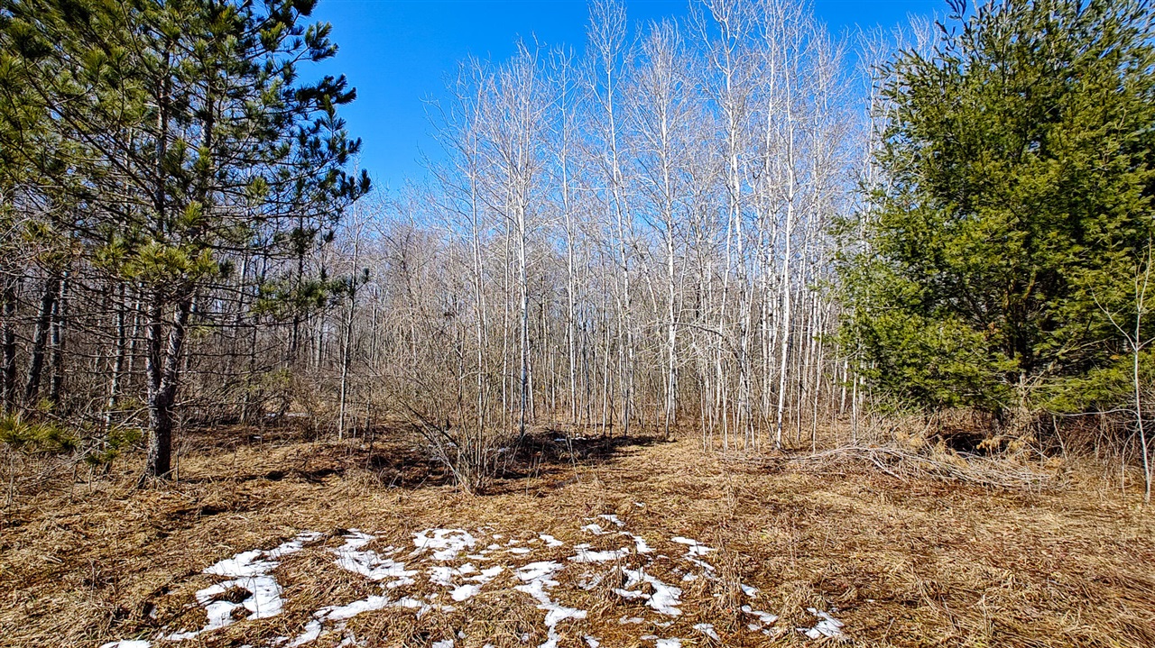 VL Mena Creek Crossing, White Cloud, MI, 49349