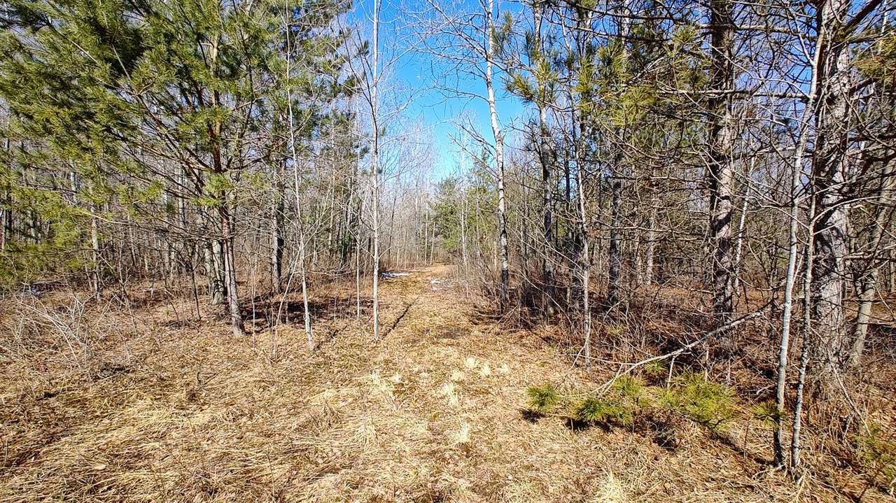 VL Mena Creek Crossing, White Cloud, MI, 49349