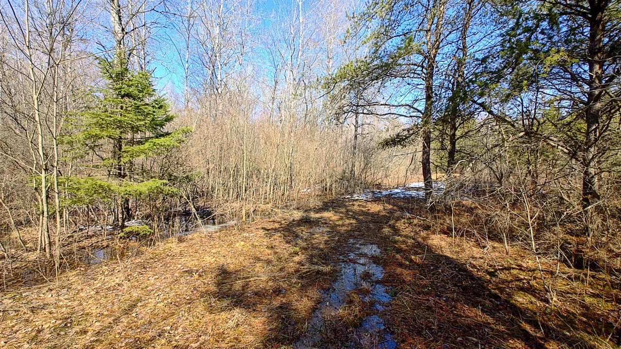 VL Mena Creek Crossing, White Cloud, MI, 49349