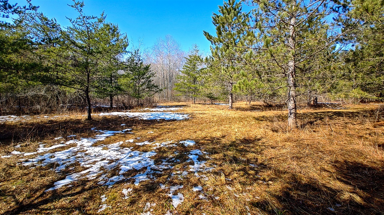 VL Mena Creek Crossing, White Cloud, MI, 49349