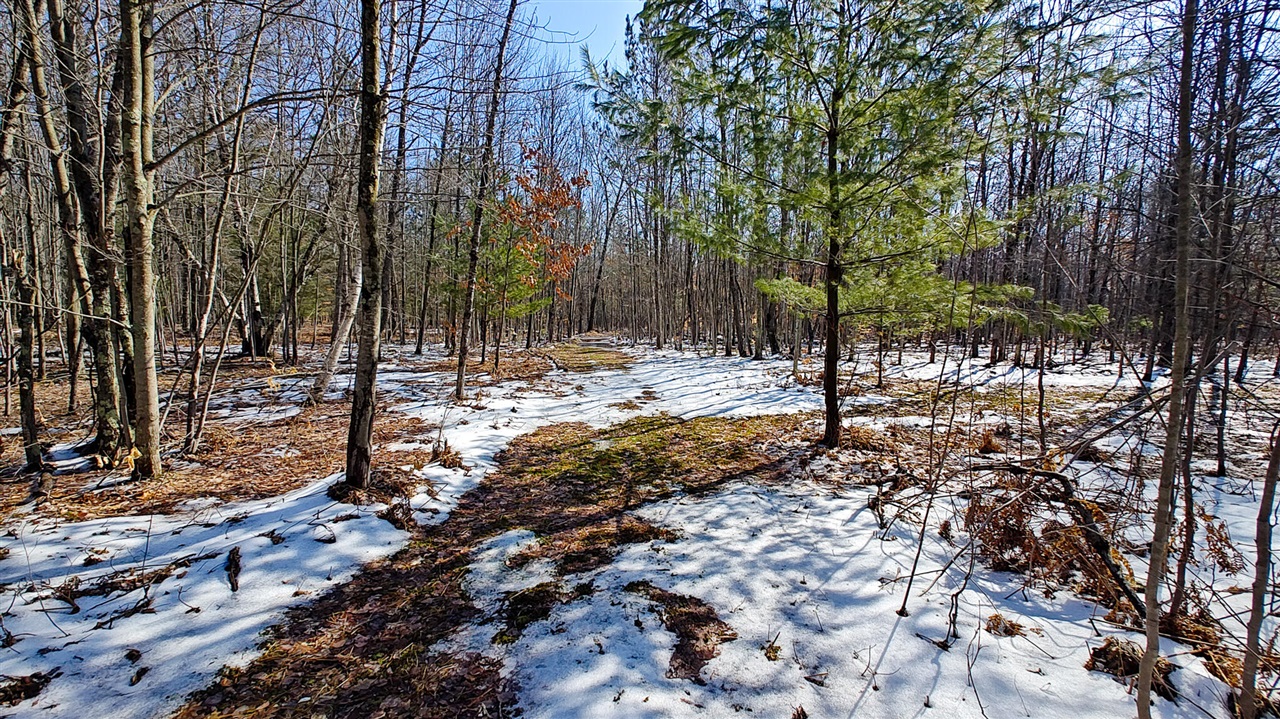 VL Mena Creek Crossing, White Cloud, MI, 49349