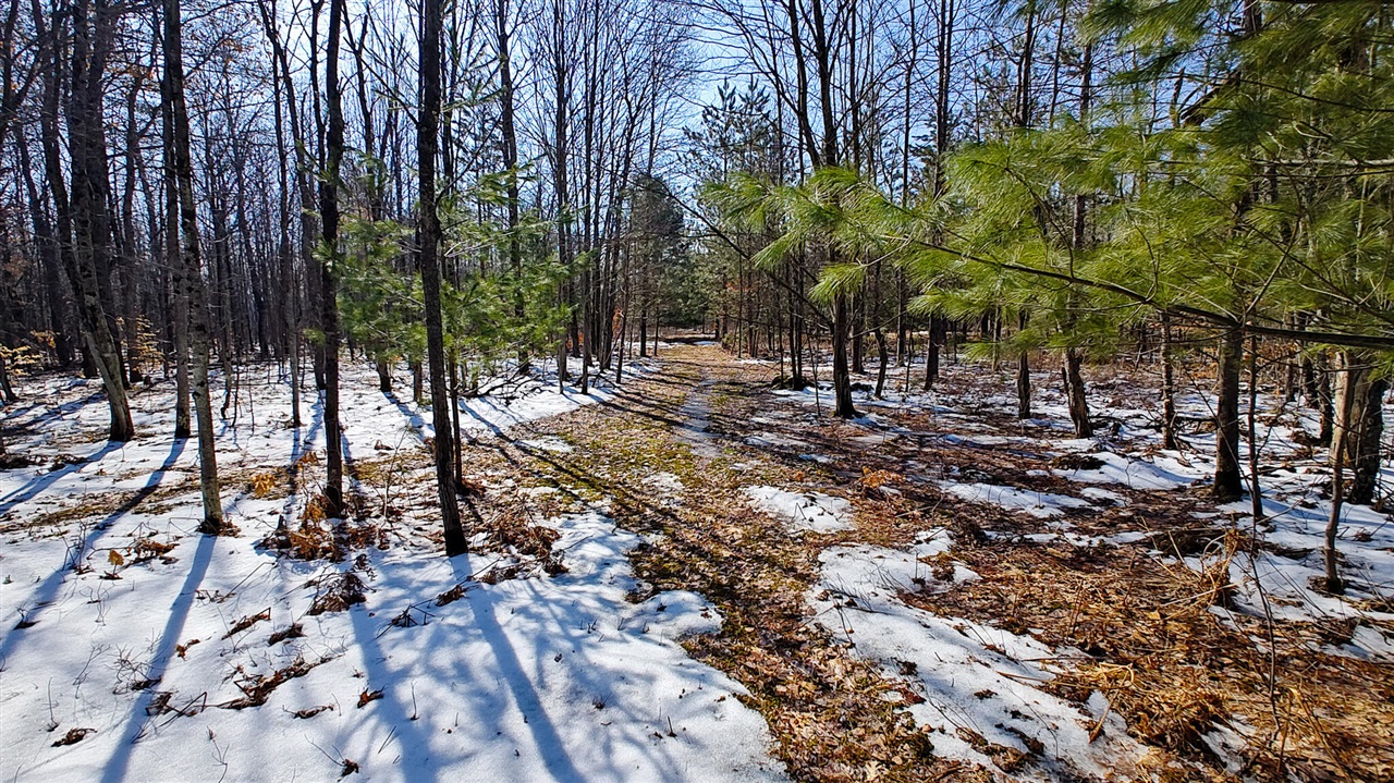 VL Mena Creek Crossing, White Cloud, MI, 49349