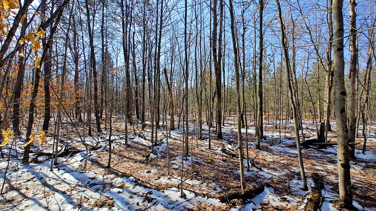 VL Mena Creek Crossing, White Cloud, MI, 49349