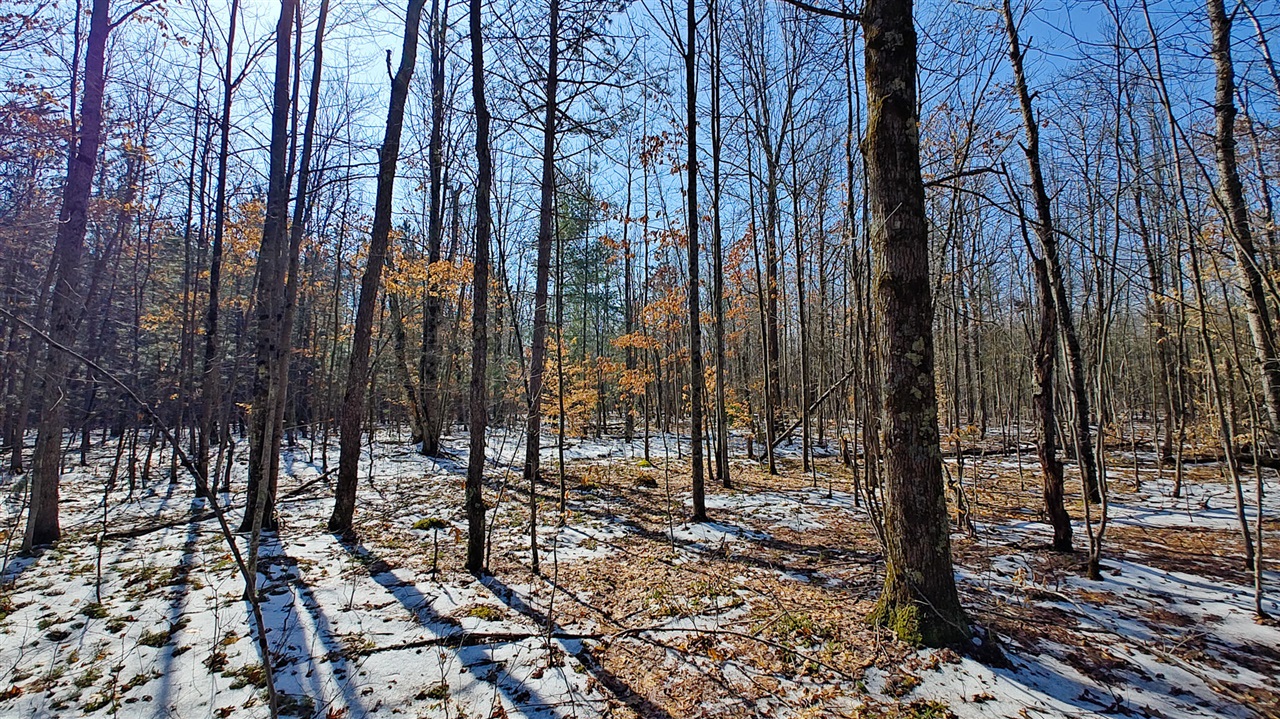 VL Mena Creek Crossing, White Cloud, MI, 49349