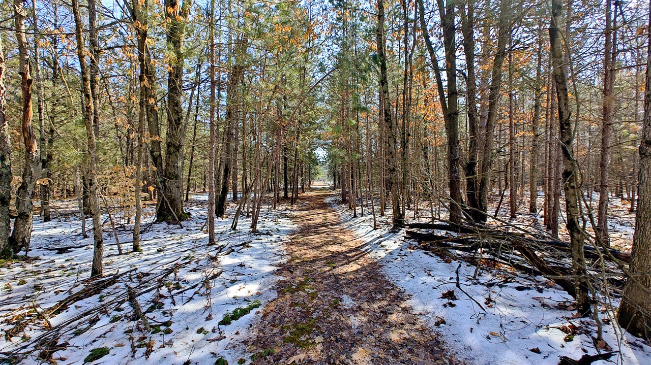 VL Mena Creek Crossing, White Cloud, MI, 49349