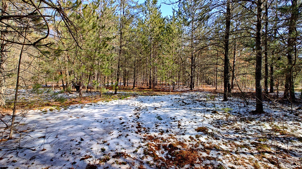 VL Mena Creek Crossing, White Cloud, MI, 49349