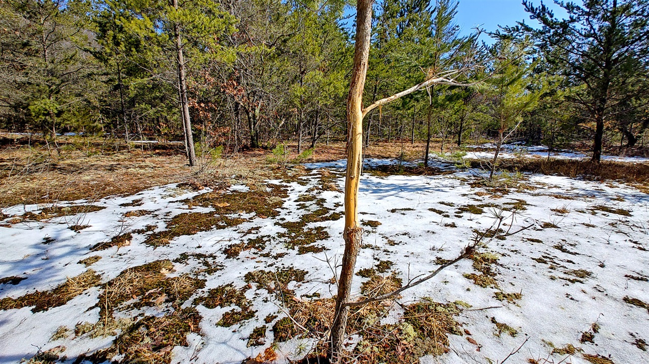 VL Mena Creek Crossing, White Cloud, MI, 49349