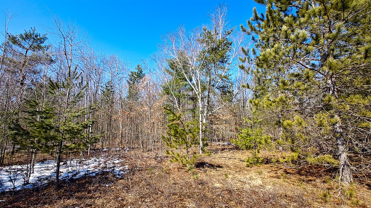 VL Mena Creek Crossing, White Cloud, MI, 49349