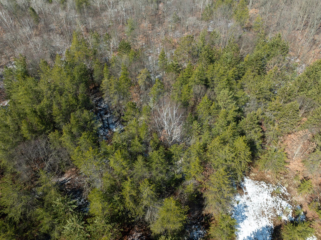 VL Mena Creek Crossing, White Cloud, MI, 49349