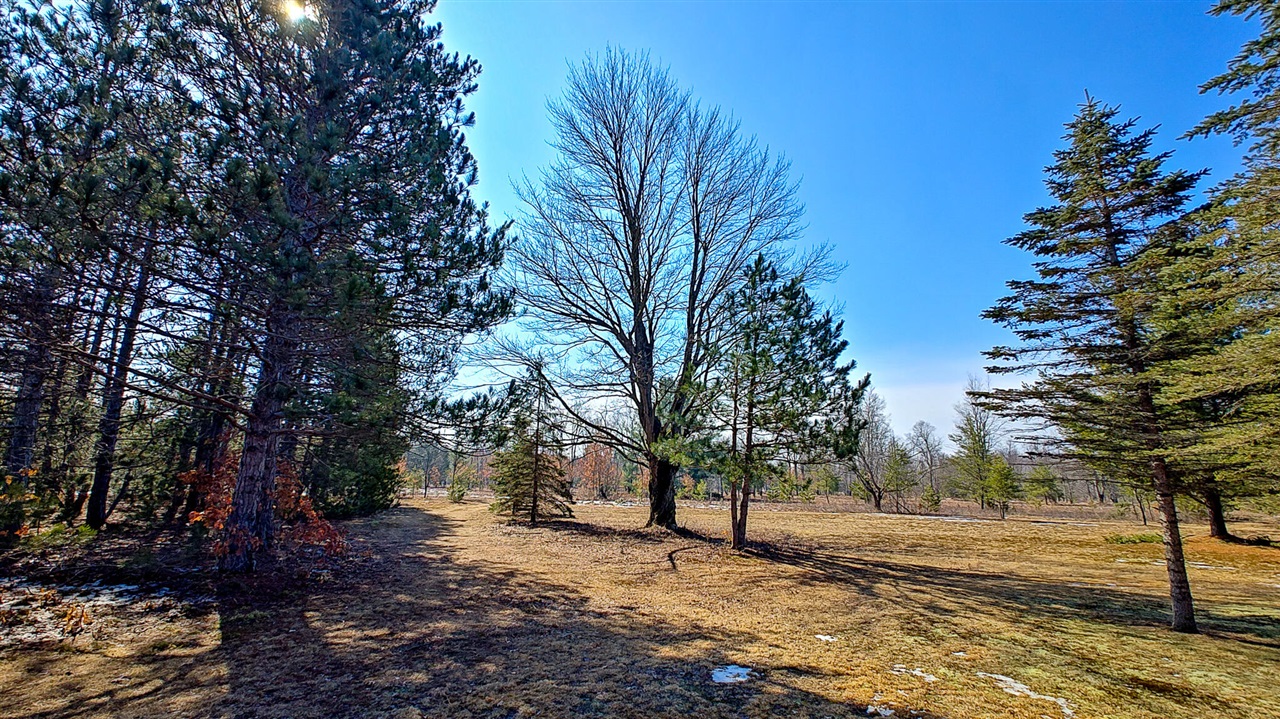 VL Mena Creek Crossing, White Cloud, MI, 49349