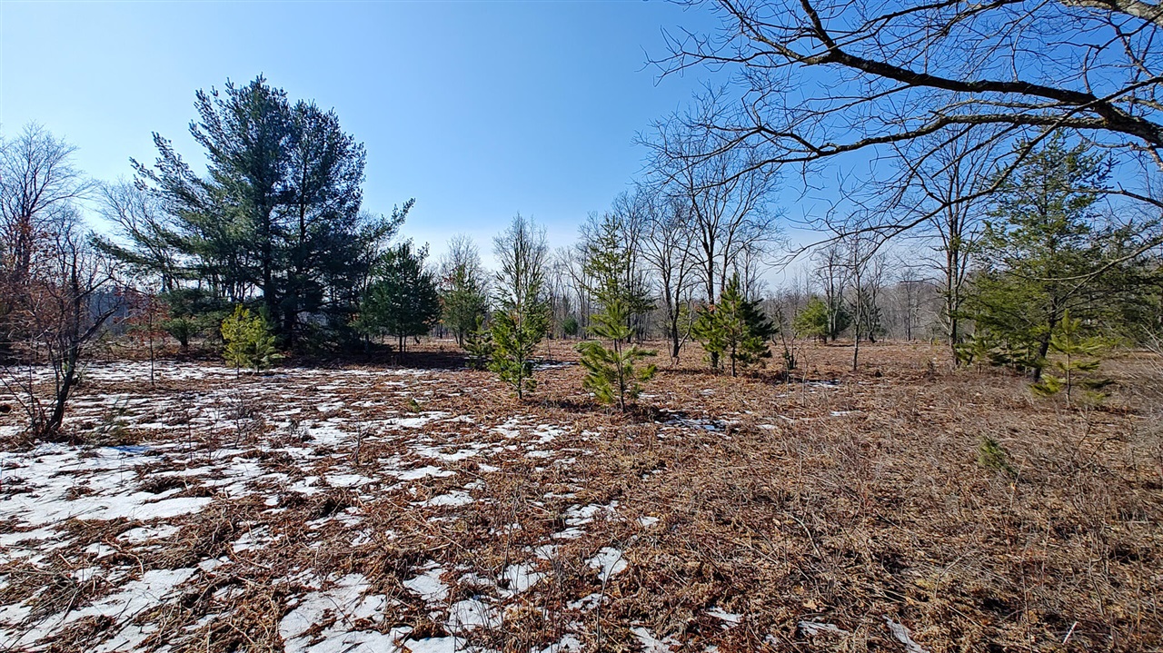 VL Mena Creek Crossing, White Cloud, MI, 49349