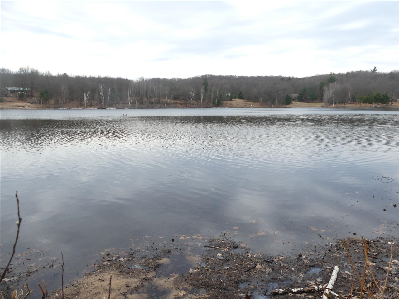 V/L W Buchanan Road, Shelby, MI, 49455