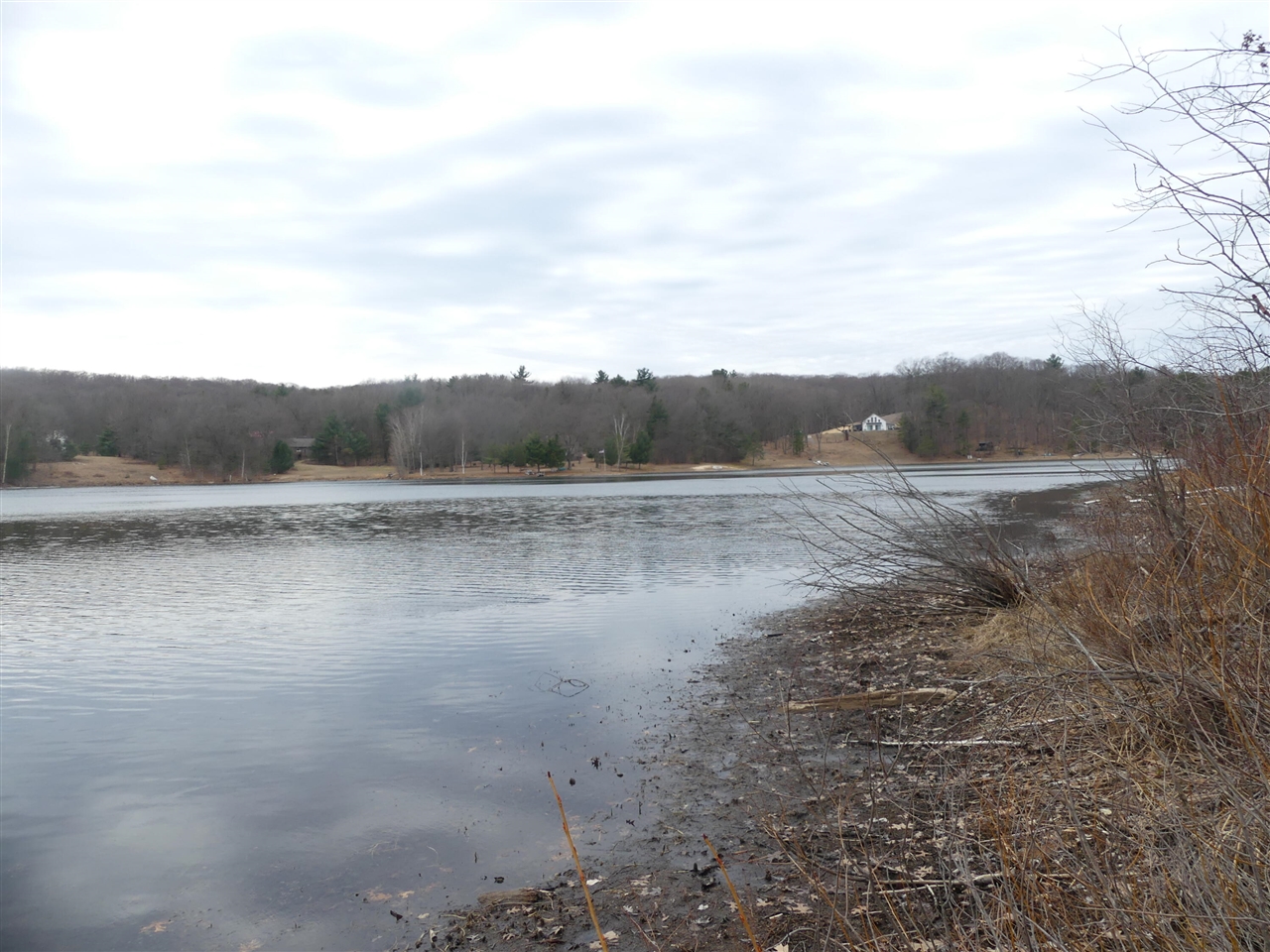 V/L W Buchanan Road, Shelby, MI, 49455