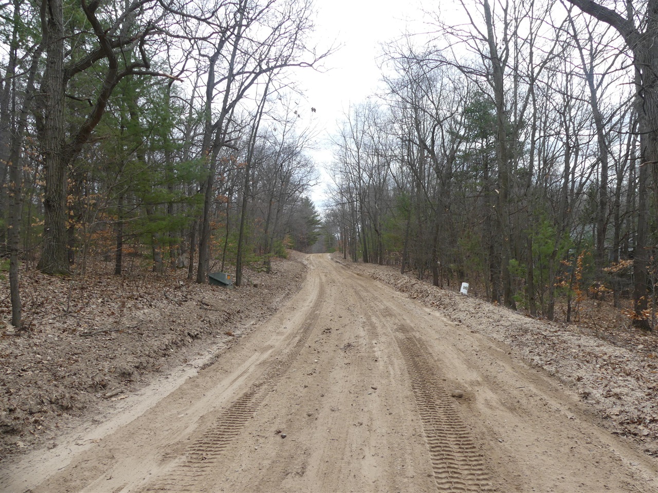 V/L W Buchanan Road, Shelby, MI, 49455