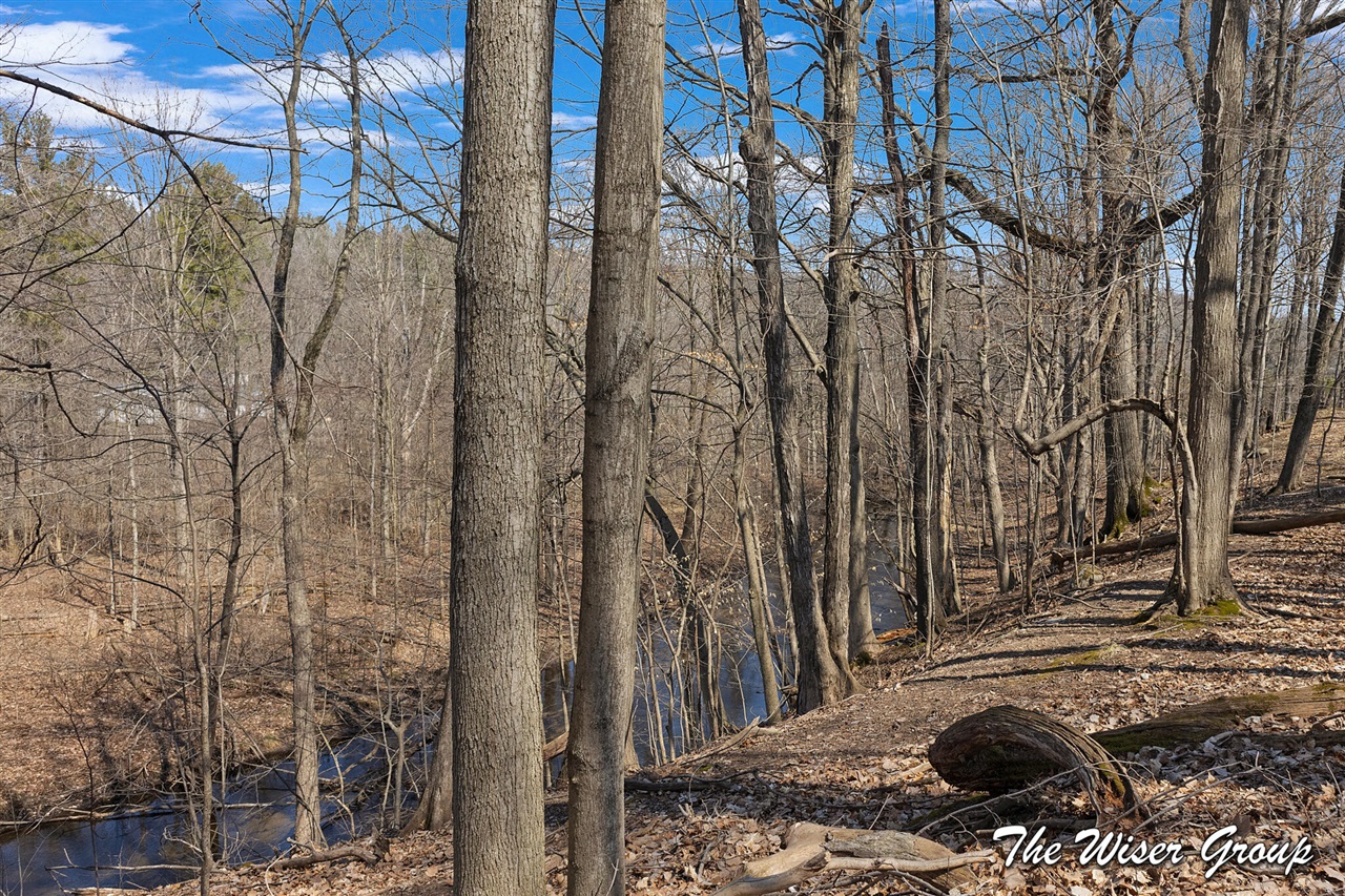 10479 Friske Drive, Rockford, MI, 49341-9139