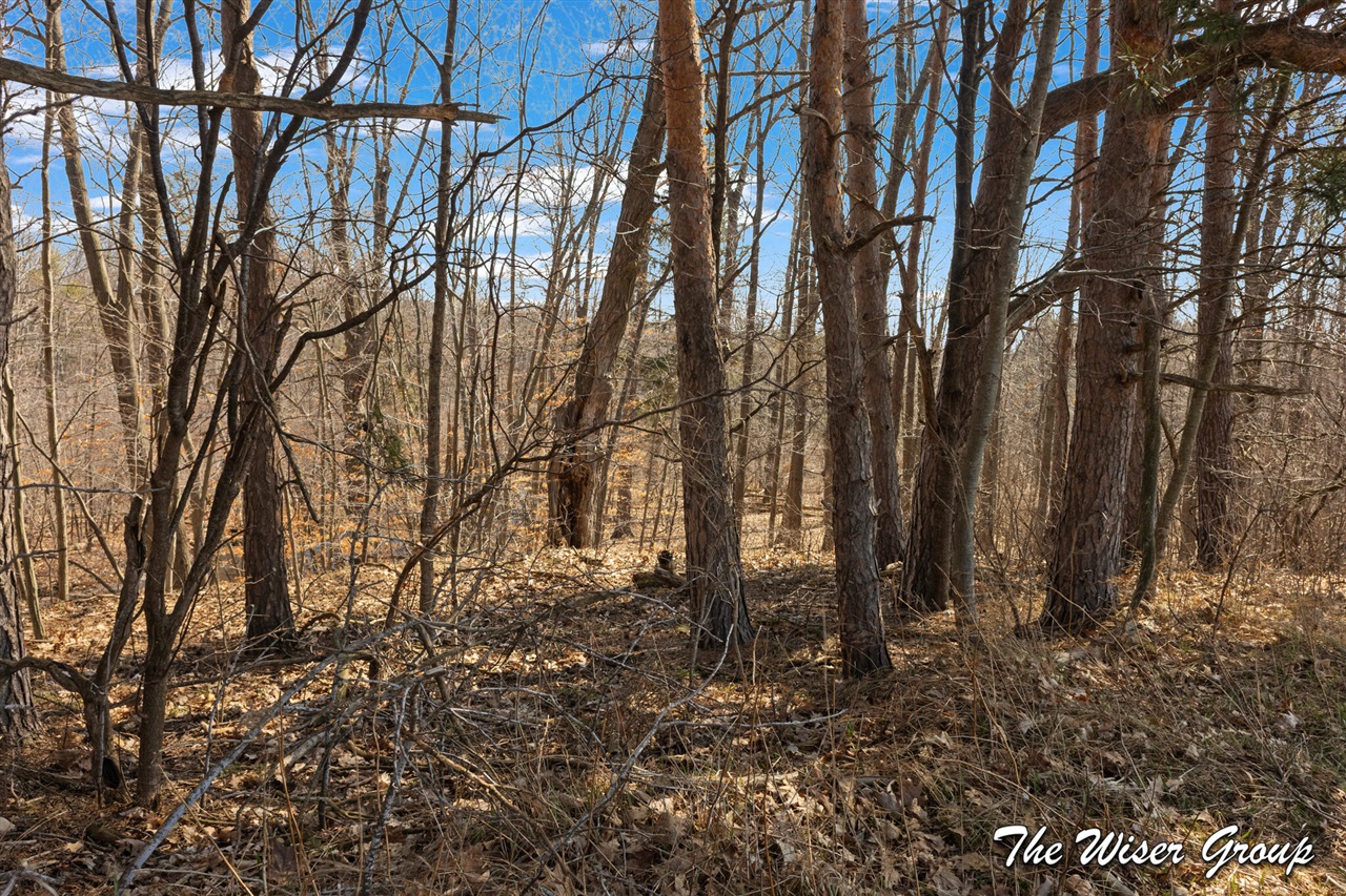 10479 Friske Drive, Rockford, MI, 49341-9139