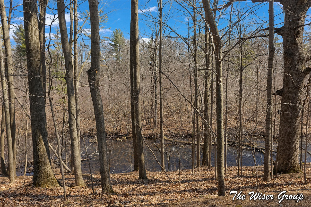 10479 Friske Drive, Rockford, MI, 49341-9139