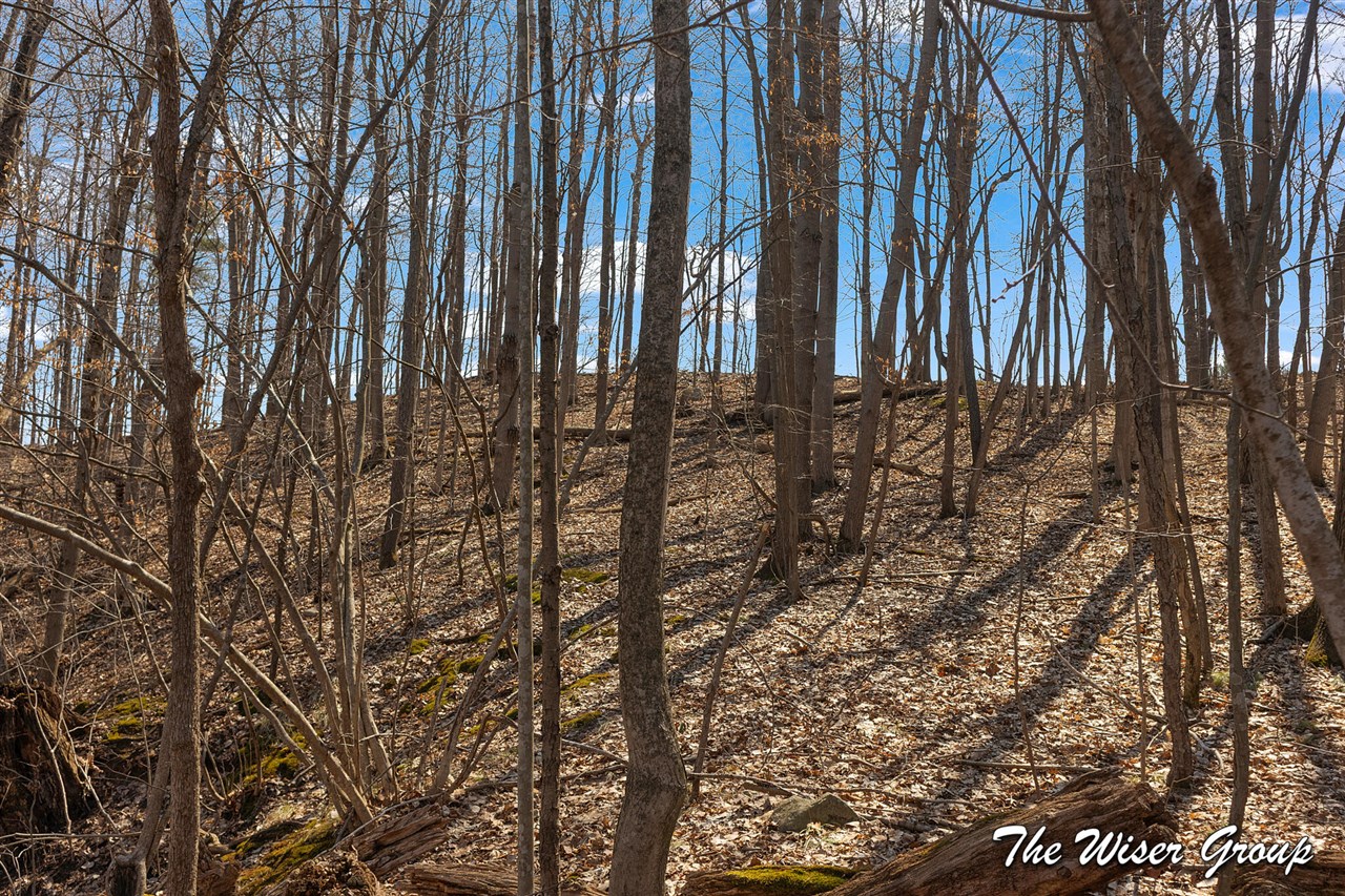 10479 Friske Drive, Rockford, MI, 49341-9139