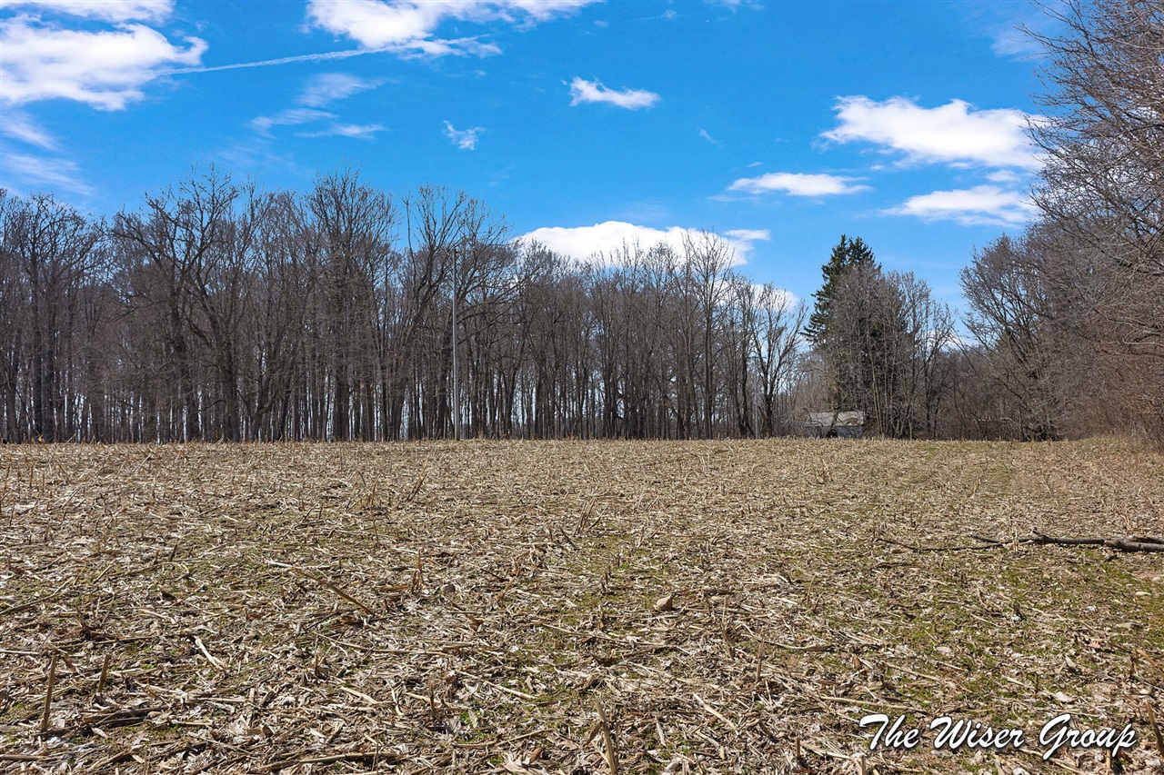 10479 Friske Drive, Rockford, MI, 49341-9139