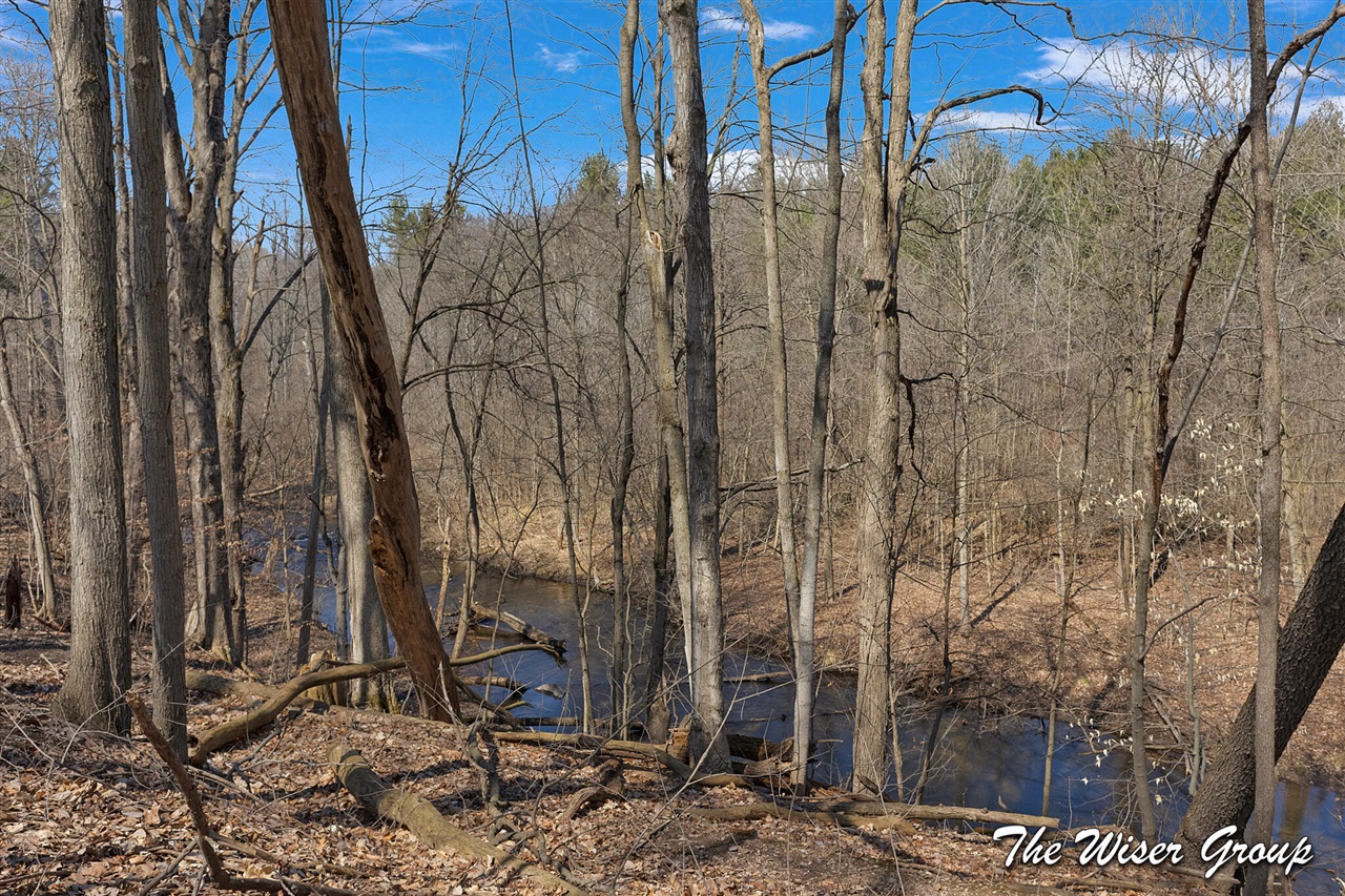 10479 Friske Drive, Rockford, MI, 49341-9139