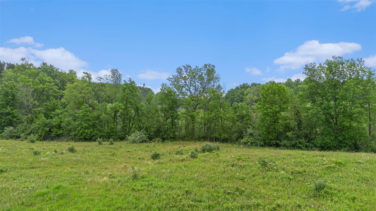 Photo 3 of Land for sale at 0 E Clear Lake Rd, Buchanan, MI 49107 | MLS# 70522693 | Listing updated on 2026-09-29