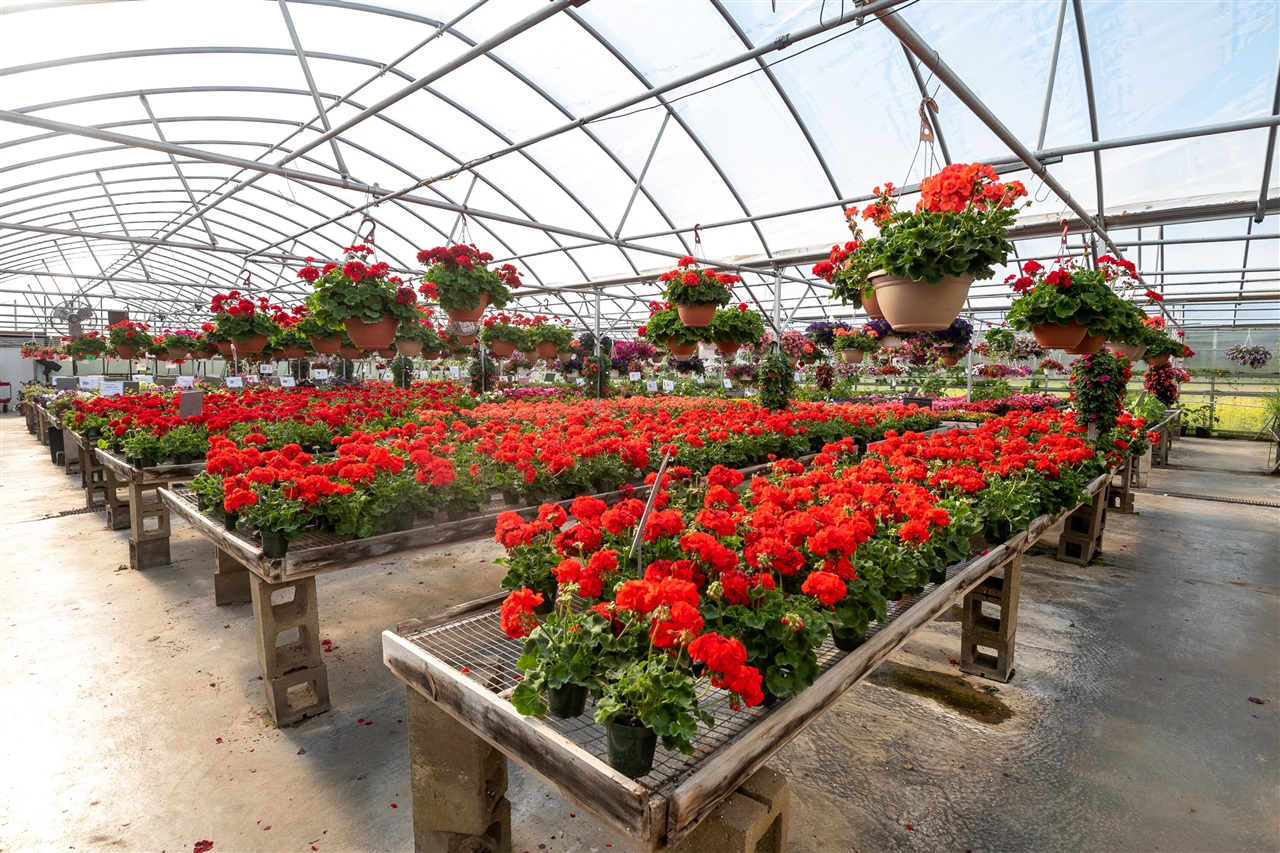 8627 Cleveland Avenue, Baroda, MI, 49101-9368