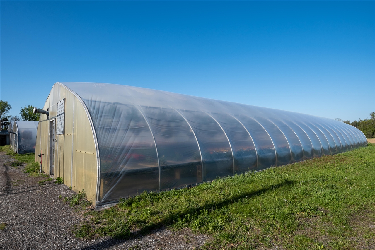 8627 Cleveland Avenue, Baroda, MI, 49101-9368