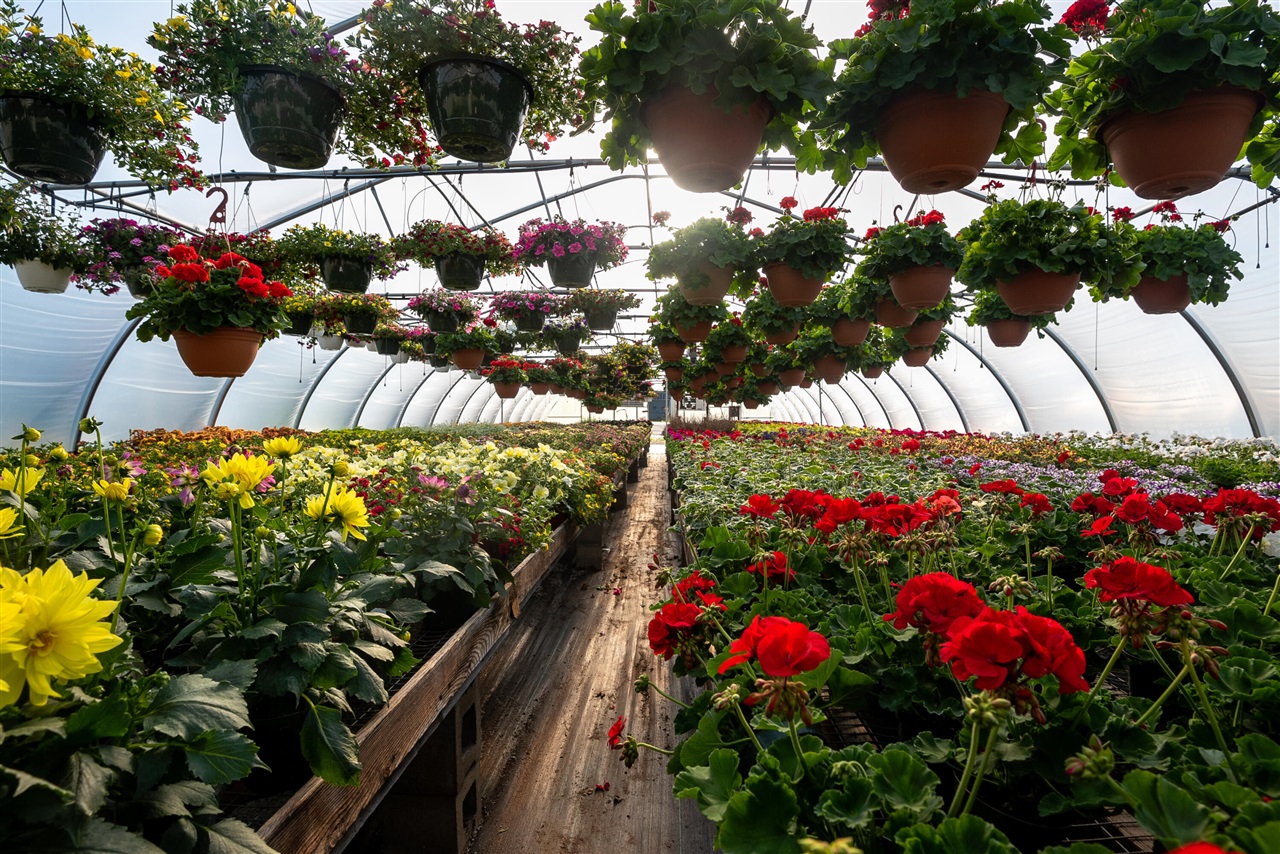 8627 Cleveland Avenue, Baroda, MI, 49101-9368