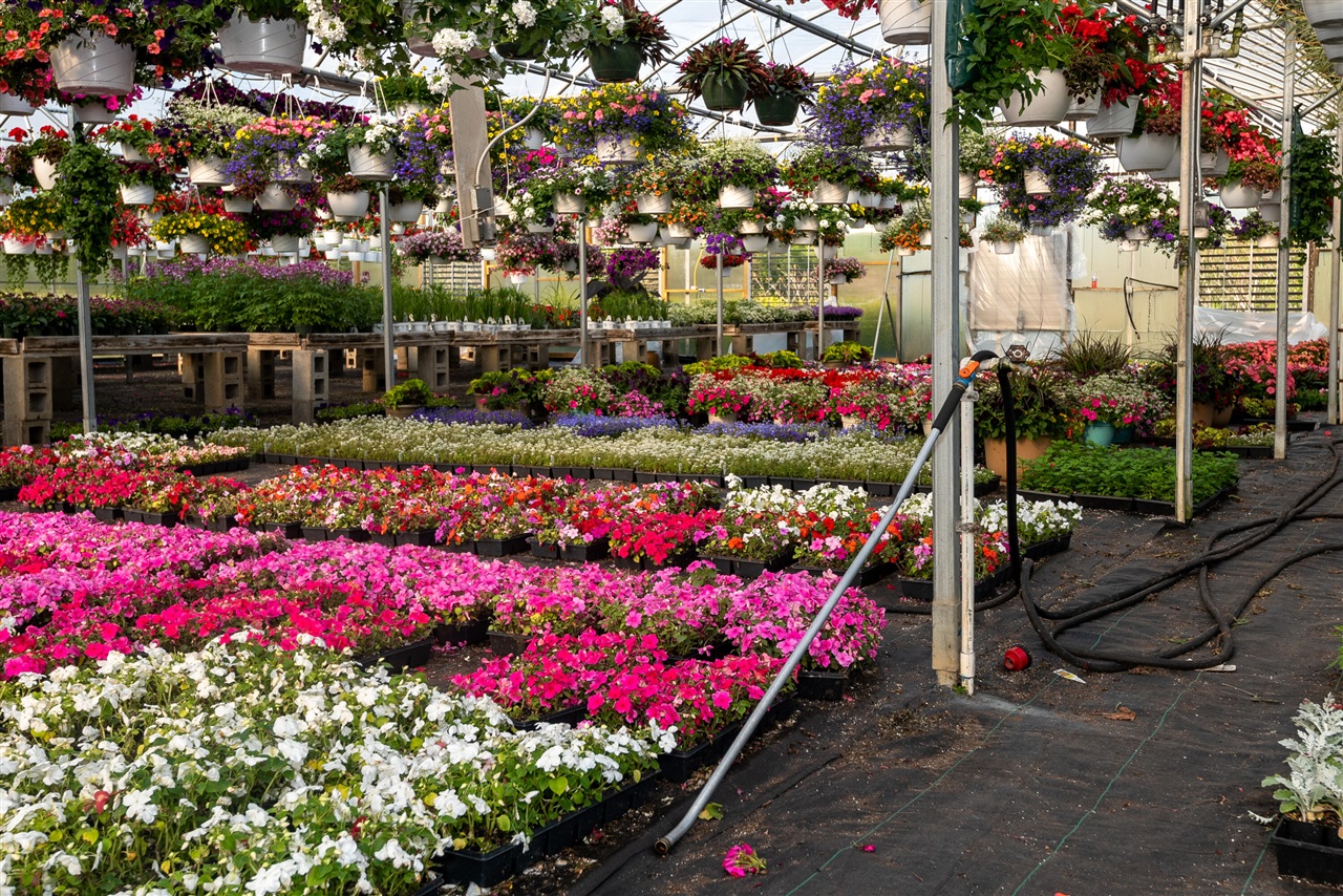 8627 Cleveland Avenue, Baroda, MI, 49101-9368