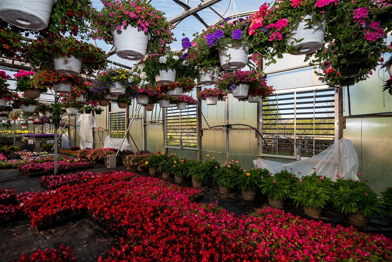 8627 Cleveland Avenue, Baroda, MI, 49101-9368