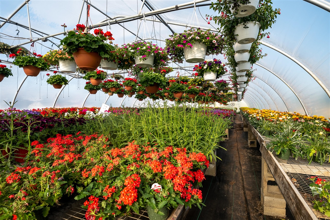 8627 Cleveland Avenue, Baroda, MI, 49101-9368