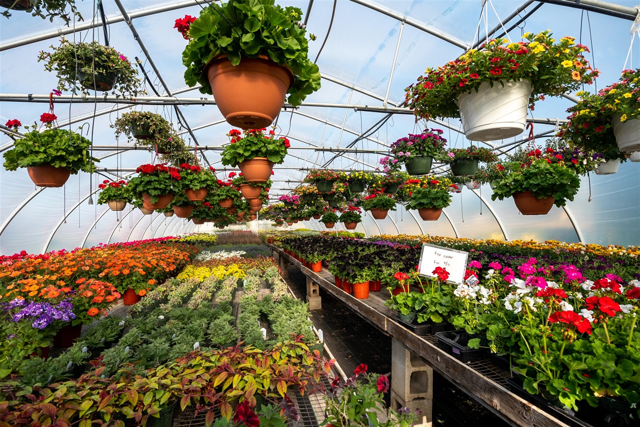 8627 Cleveland Avenue, Baroda, MI, 49101-9368