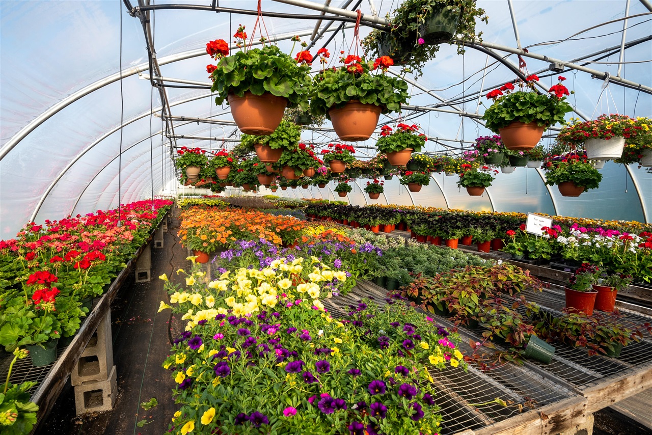 8627 Cleveland Avenue, Baroda, MI, 49101-9368