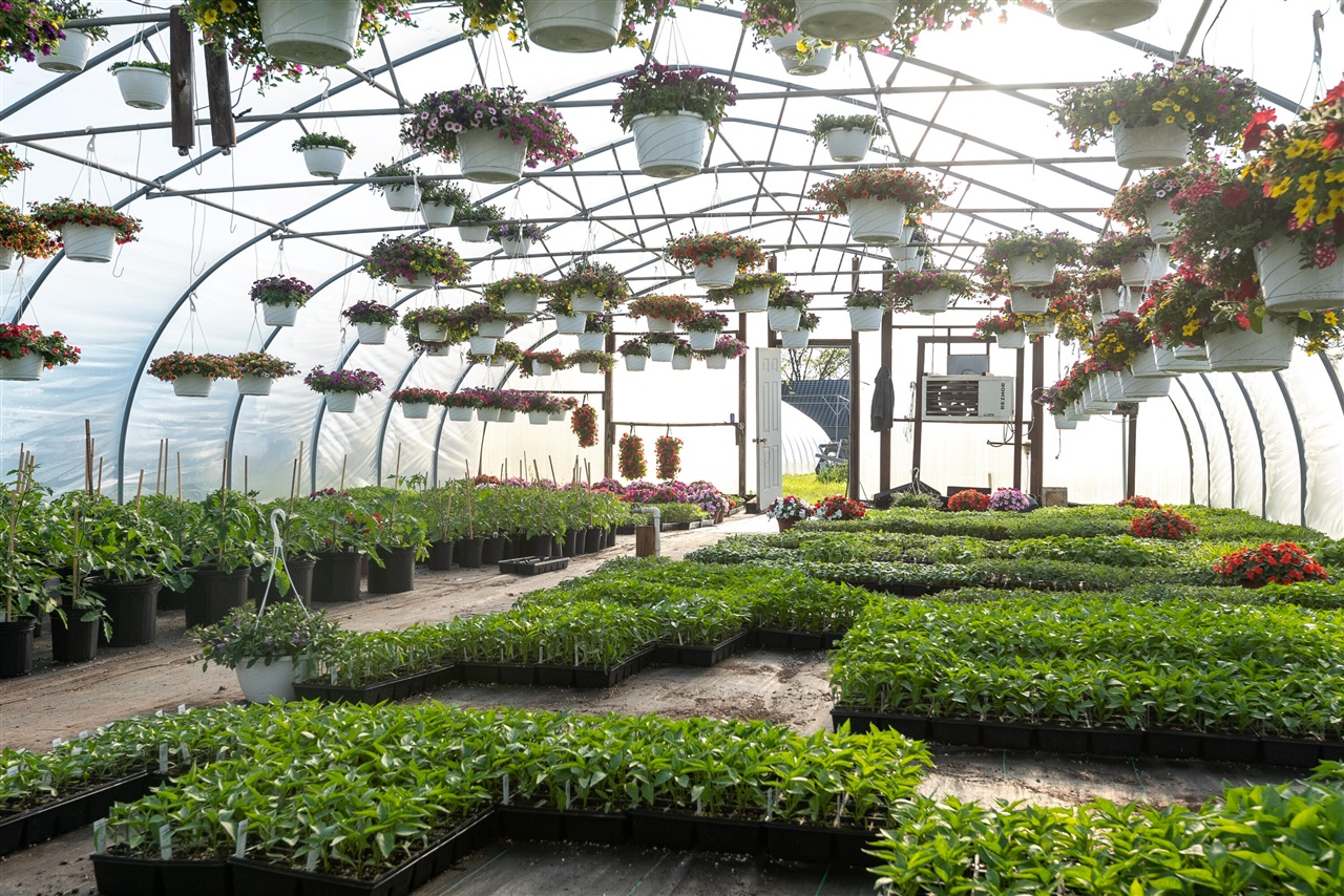 8627 Cleveland Avenue, Baroda, MI, 49101-9368