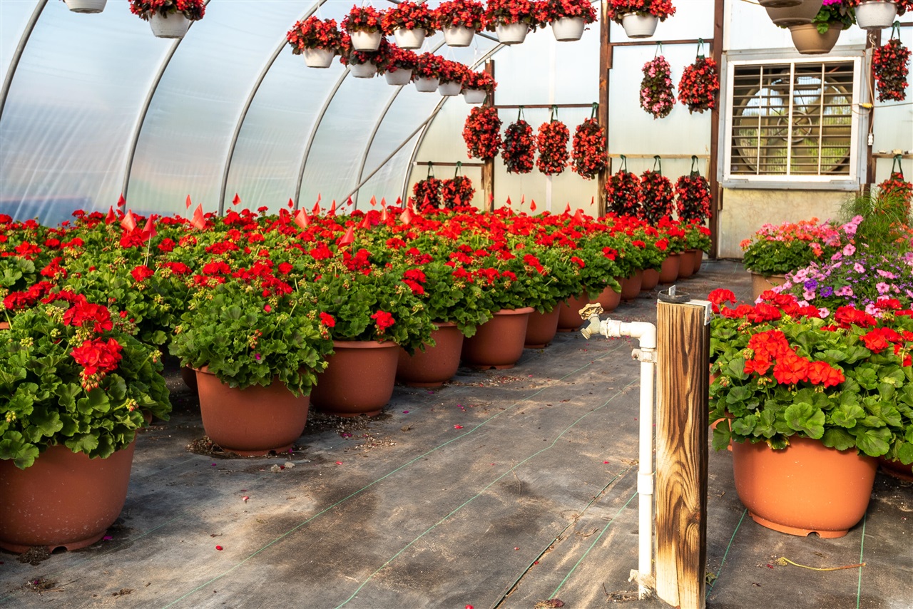 8627 Cleveland Avenue, Baroda, MI, 49101-9368