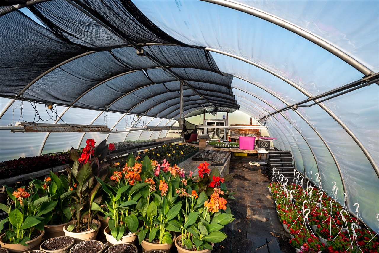 8627 Cleveland Avenue, Baroda, MI, 49101-9368