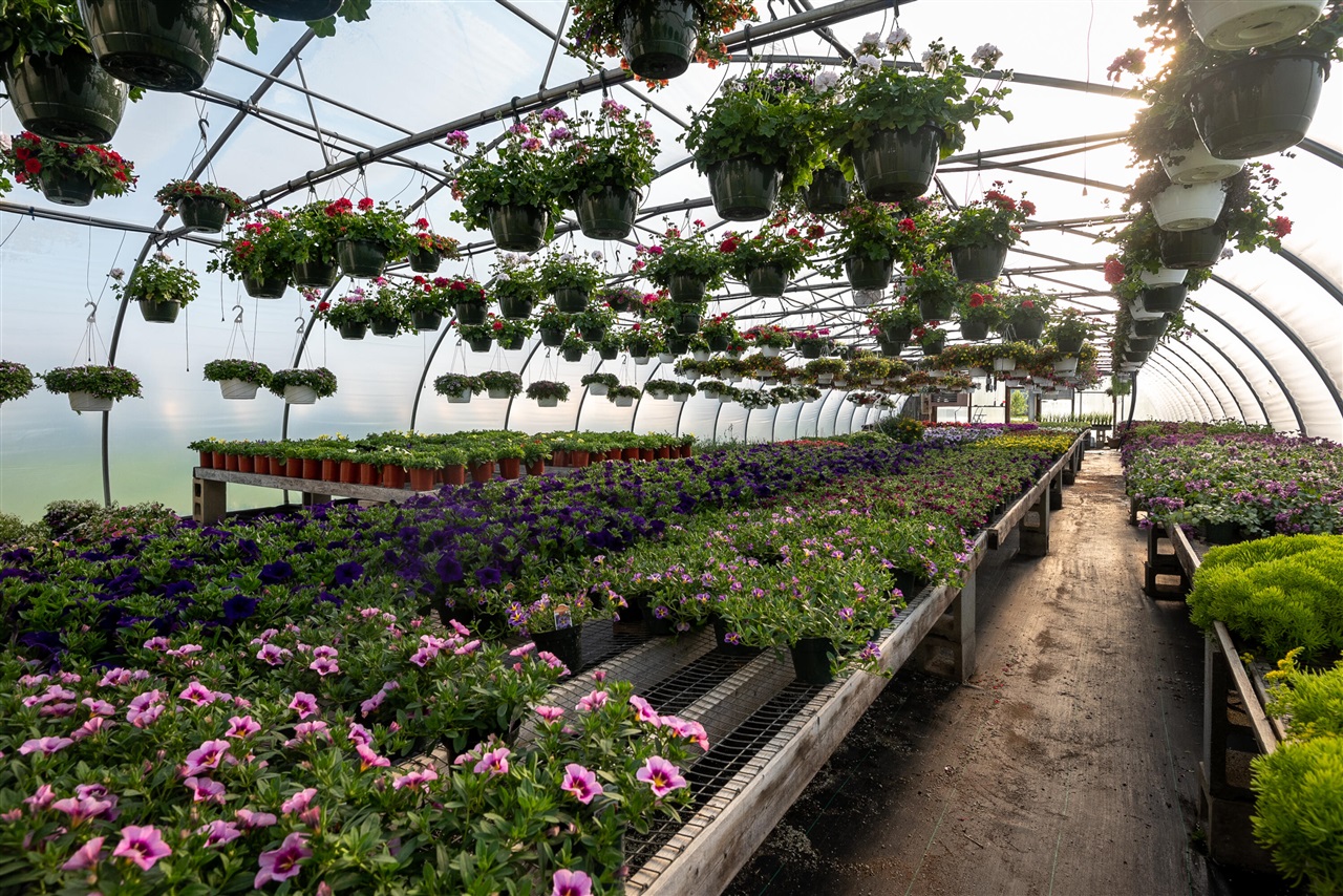 8627 Cleveland Avenue, Baroda, MI, 49101-9368