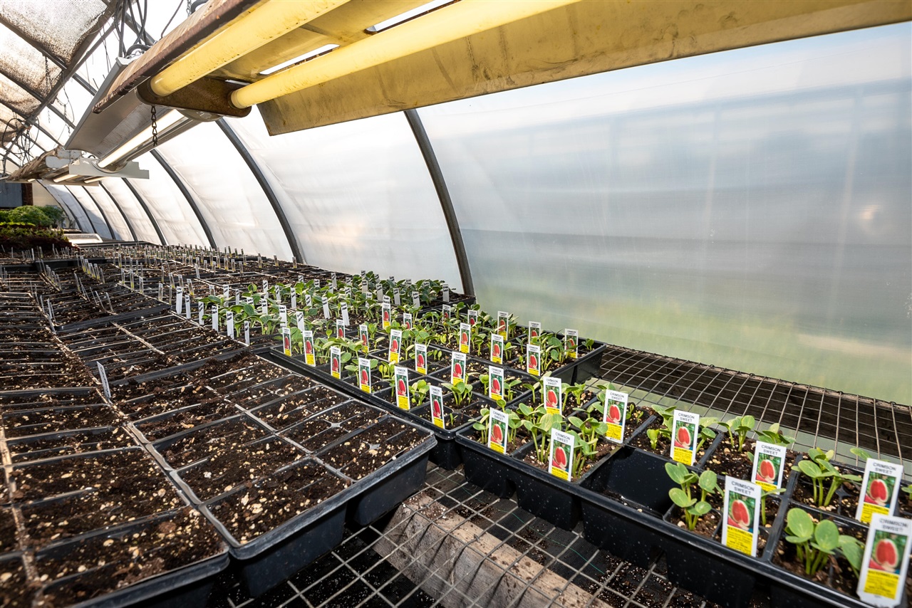 8627 Cleveland Avenue, Baroda, MI, 49101-9368