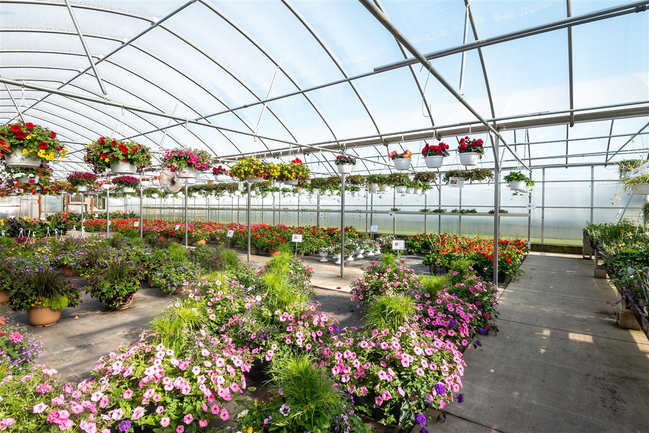 8627 Cleveland Avenue, Baroda, MI, 49101-9368