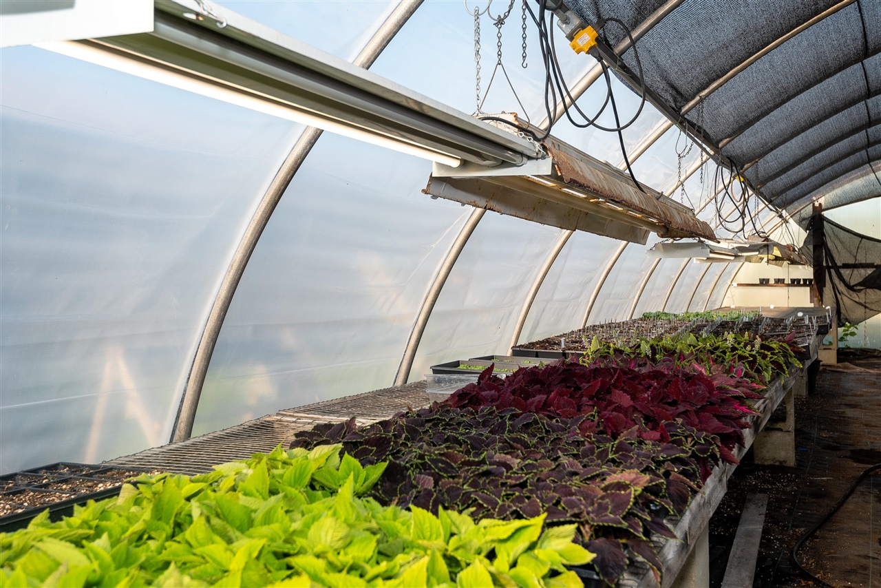 8627 Cleveland Avenue, Baroda, MI, 49101-9368