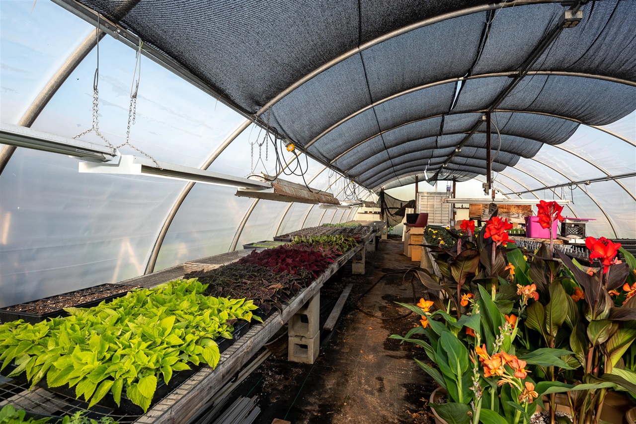 8627 Cleveland Avenue, Baroda, MI, 49101-9368