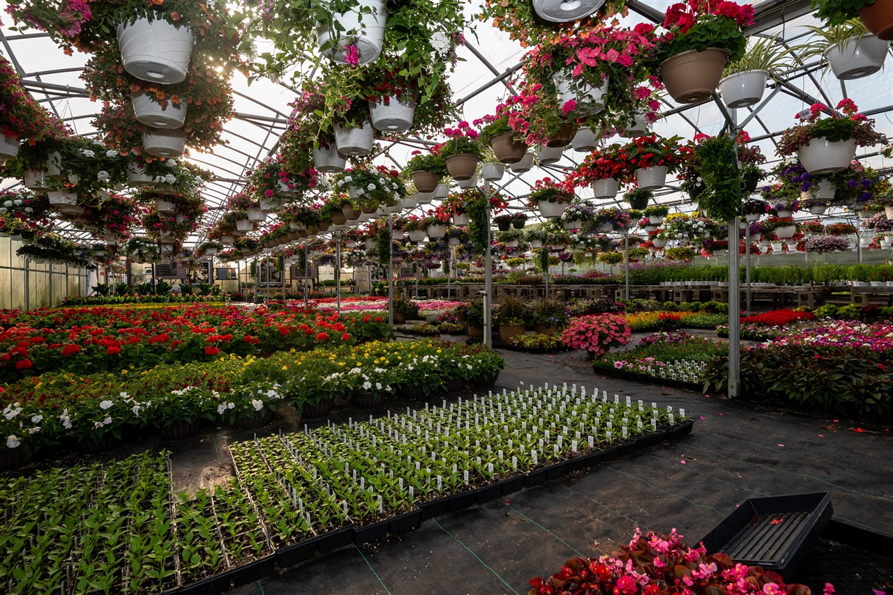 8627 Cleveland Avenue, Baroda, MI, 49101-9368