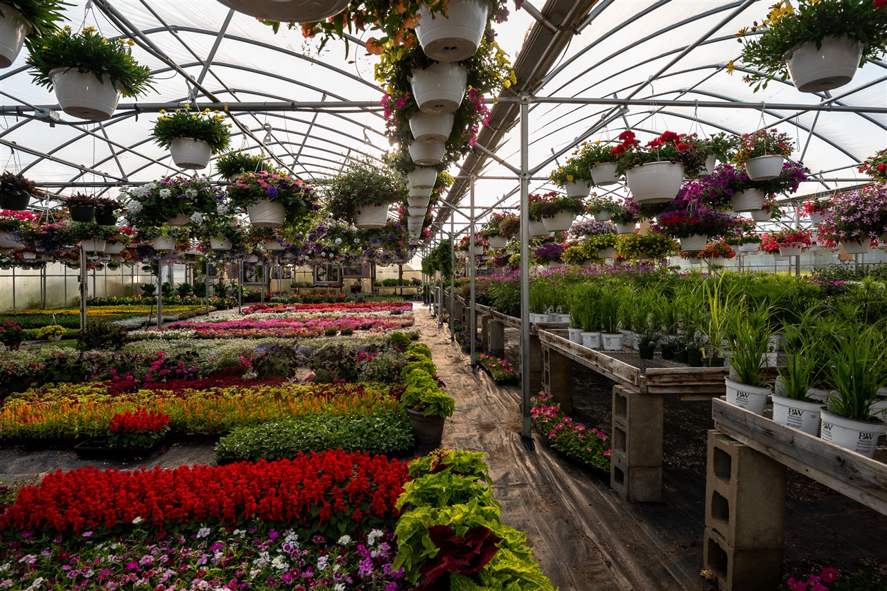 8627 Cleveland Avenue, Baroda, MI, 49101-9368