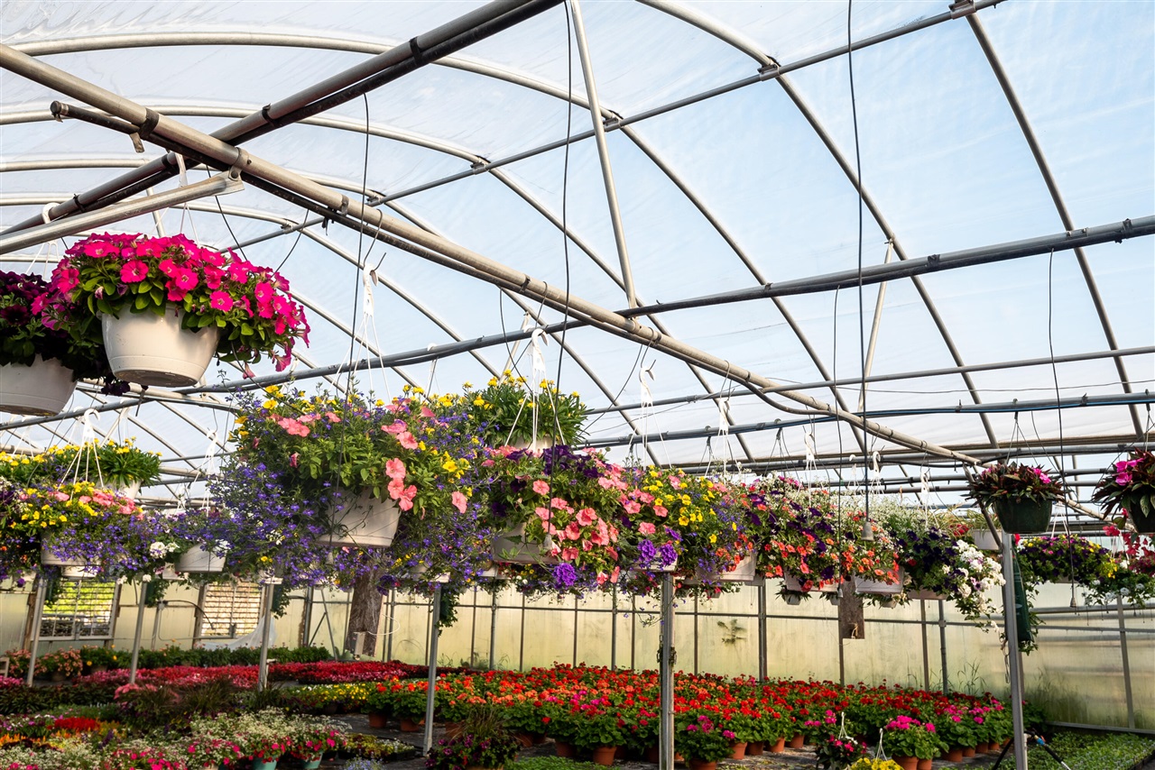 8627 Cleveland Avenue, Baroda, MI, 49101-9368