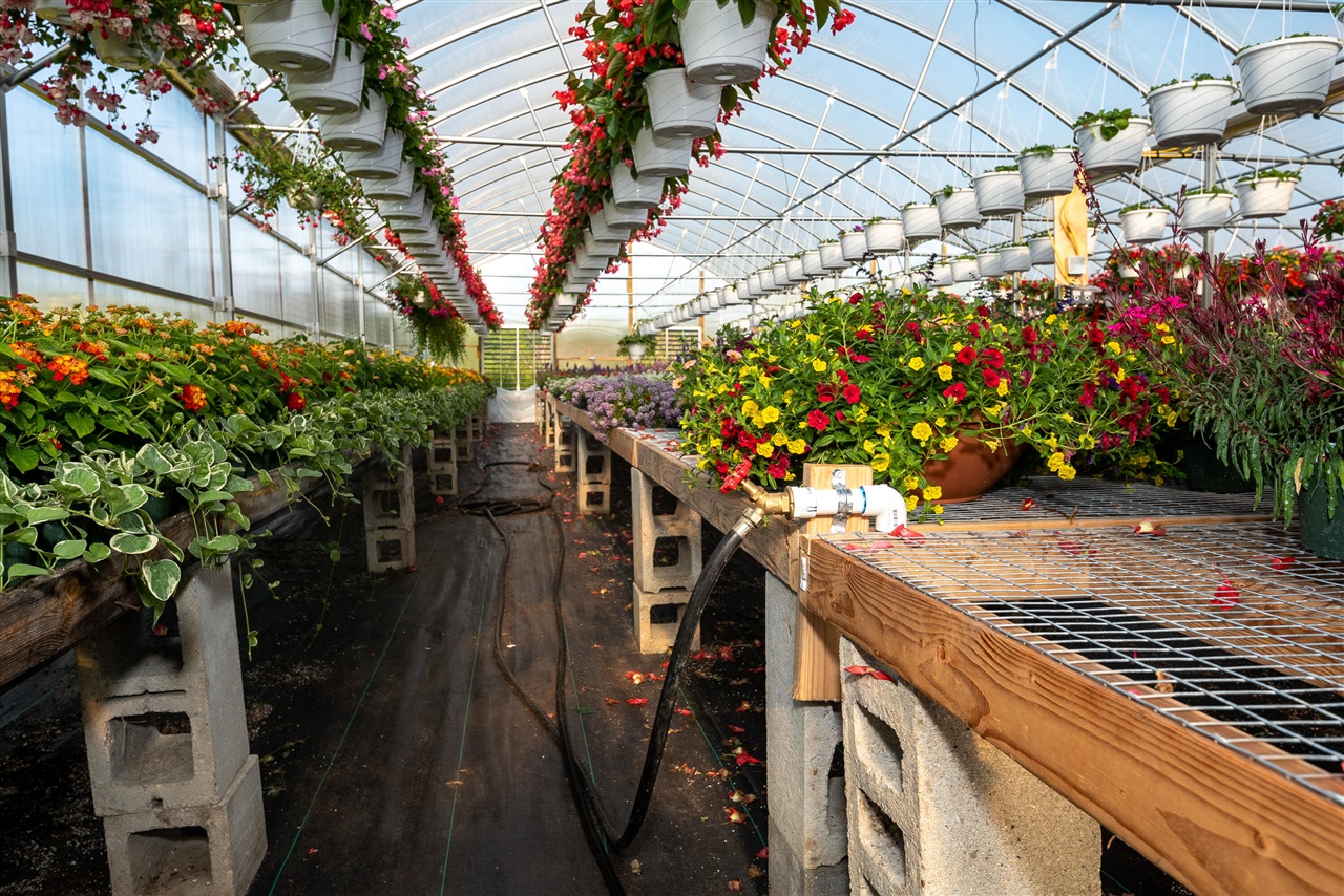 8627 Cleveland Avenue, Baroda, MI, 49101-9368