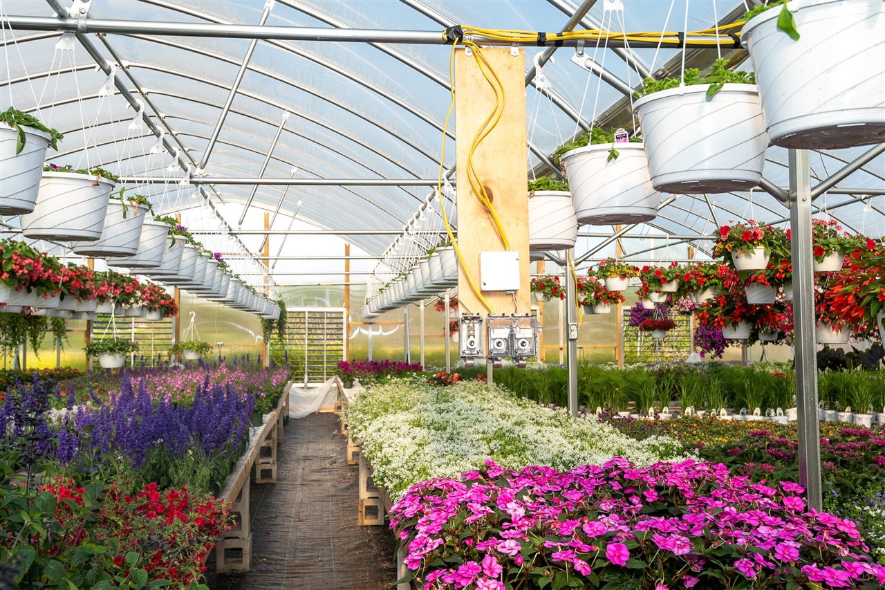 8627 Cleveland Avenue, Baroda, MI, 49101-9368