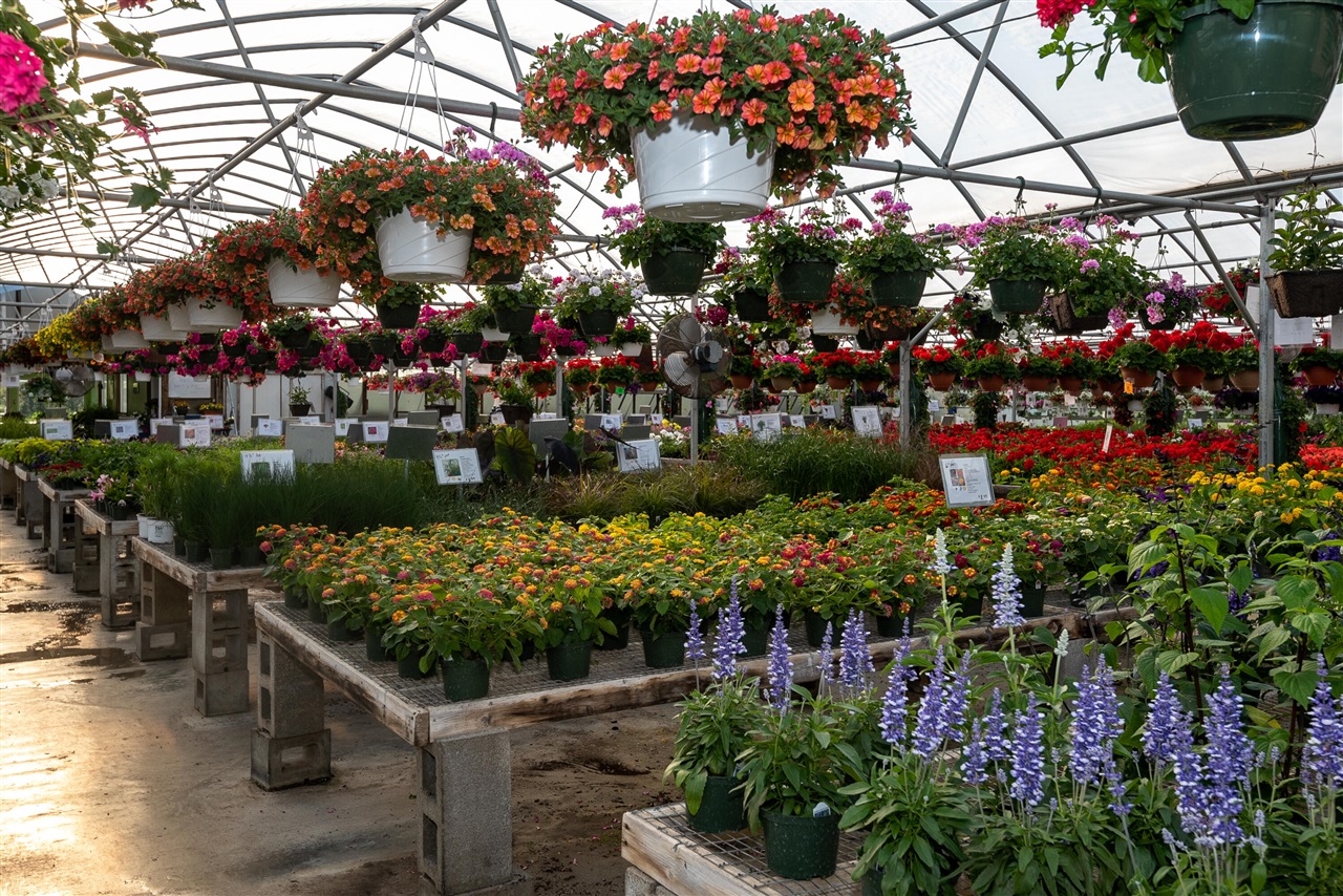 8627 Cleveland Avenue, Baroda, MI, 49101-9368