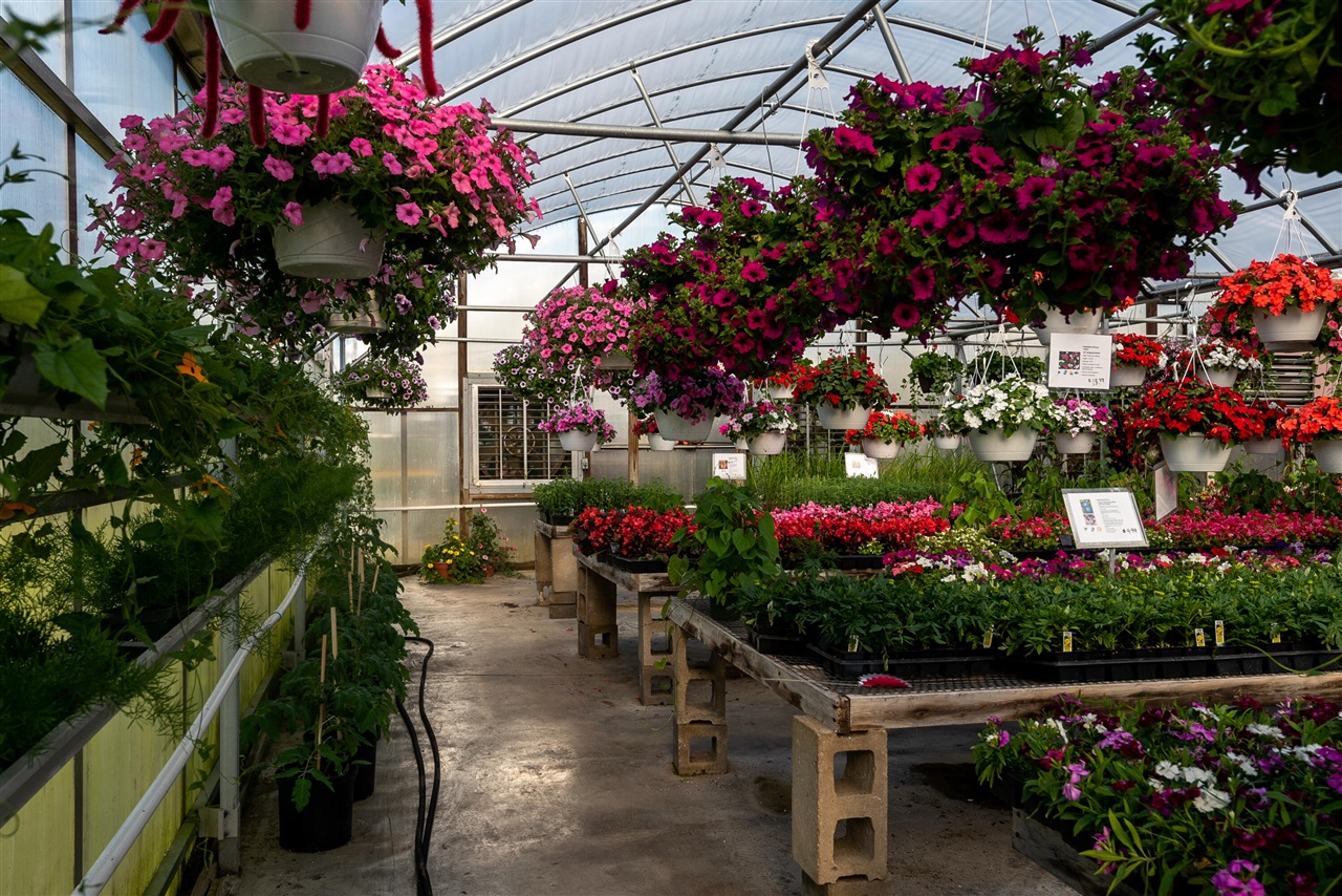 8627 Cleveland Avenue, Baroda, MI, 49101-9368