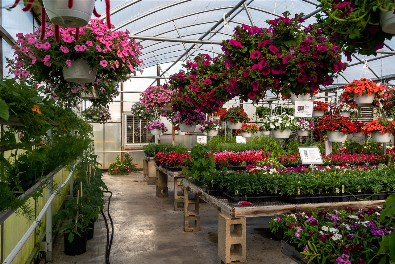 8627 Cleveland Avenue, Baroda, MI, 49101-9368