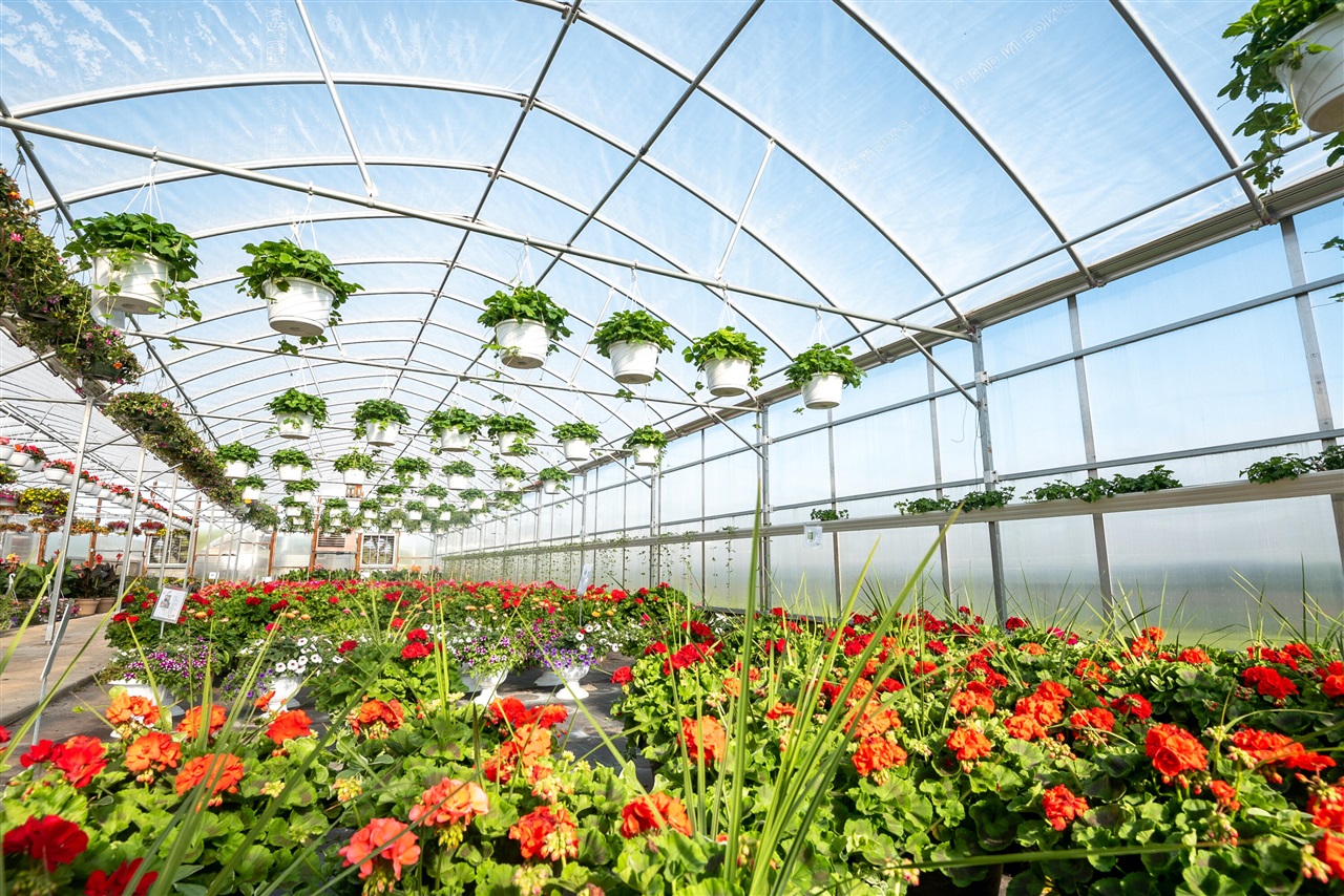 8627 Cleveland Avenue, Baroda, MI, 49101-9368